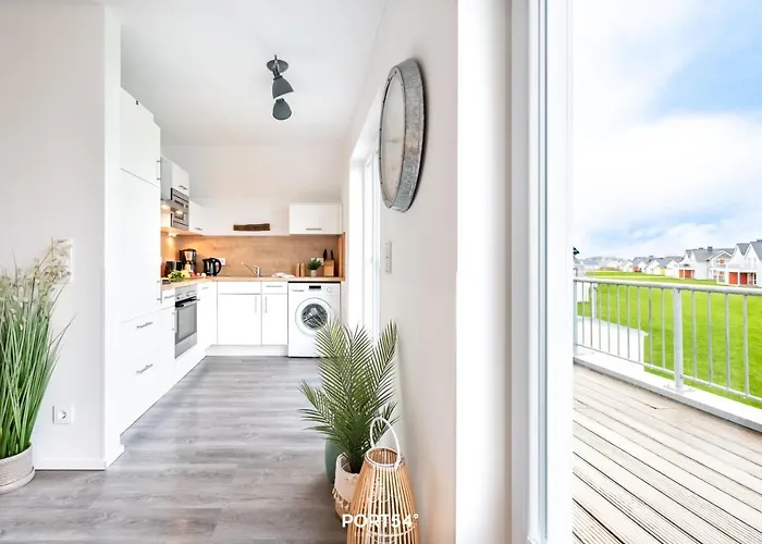 Nicks Seestern 奥尔本尼兹