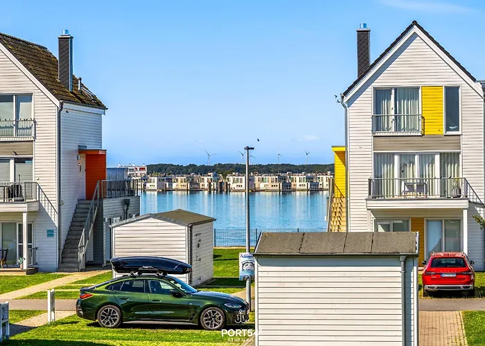 Nicks Seestern 奥尔本尼兹